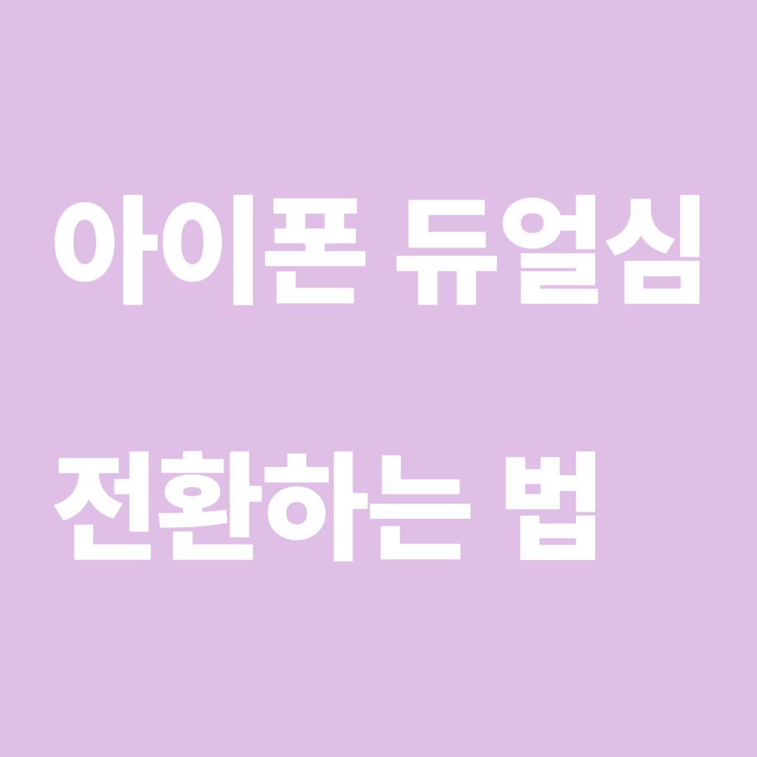 아이폰 듀얼심 전환하는 법