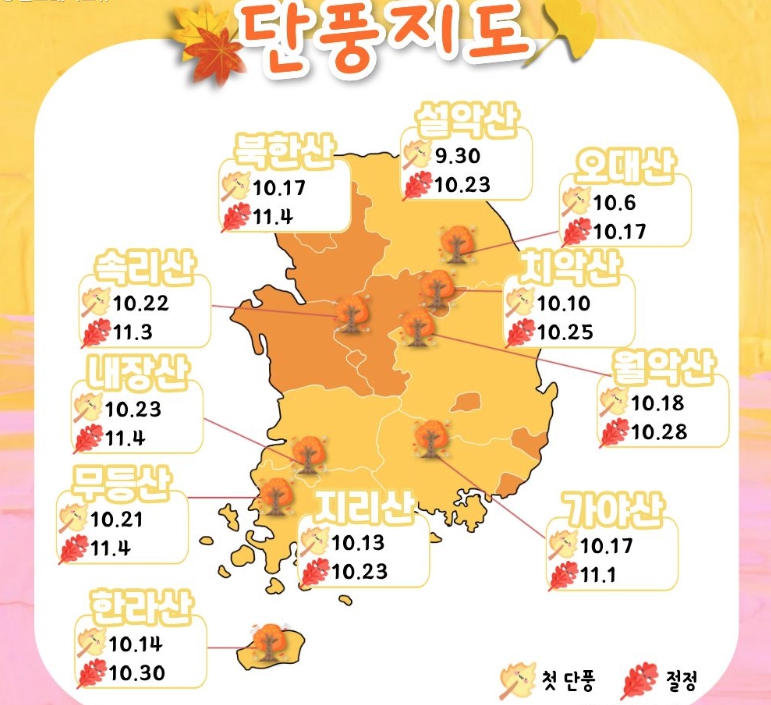 2025 전국 단풍시기