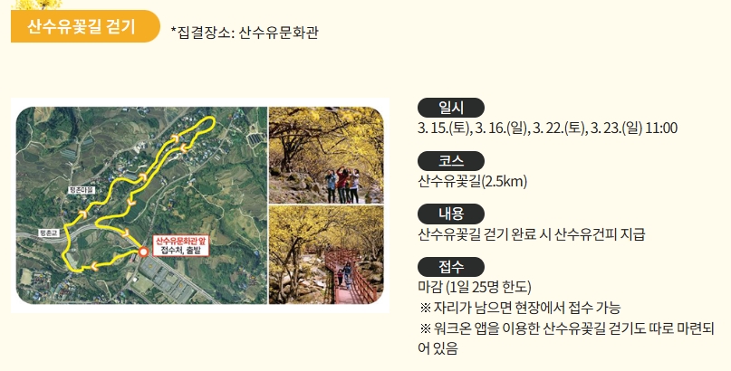 구례 산수유축제 기간 초대가수 맛집 주차