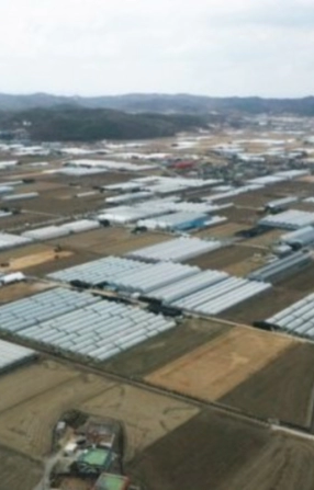 용인 납사읍