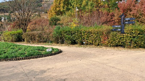 화성_우리꽃식물원_국화전시회