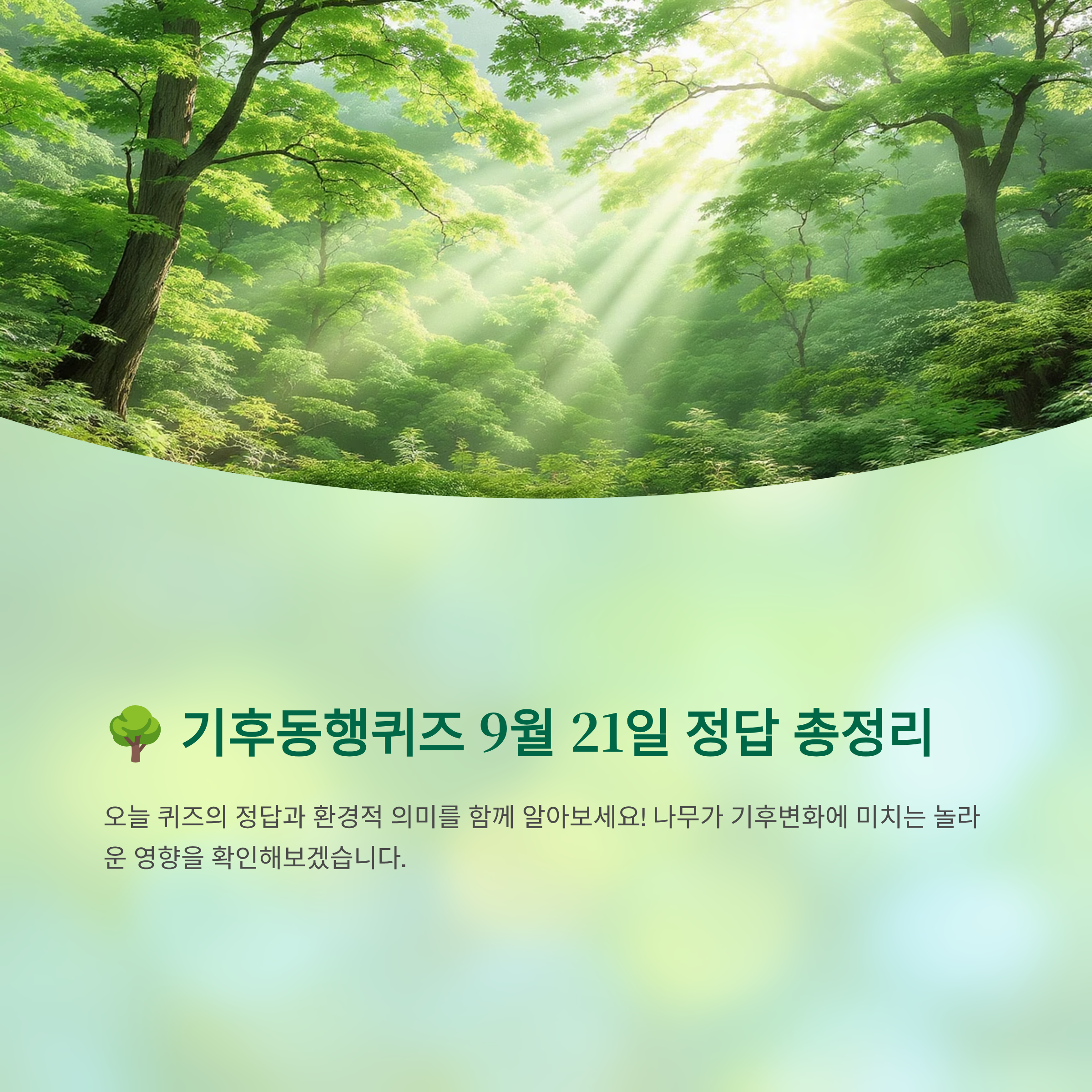 기후동행퀴즈 9월 21일 정답 총정리