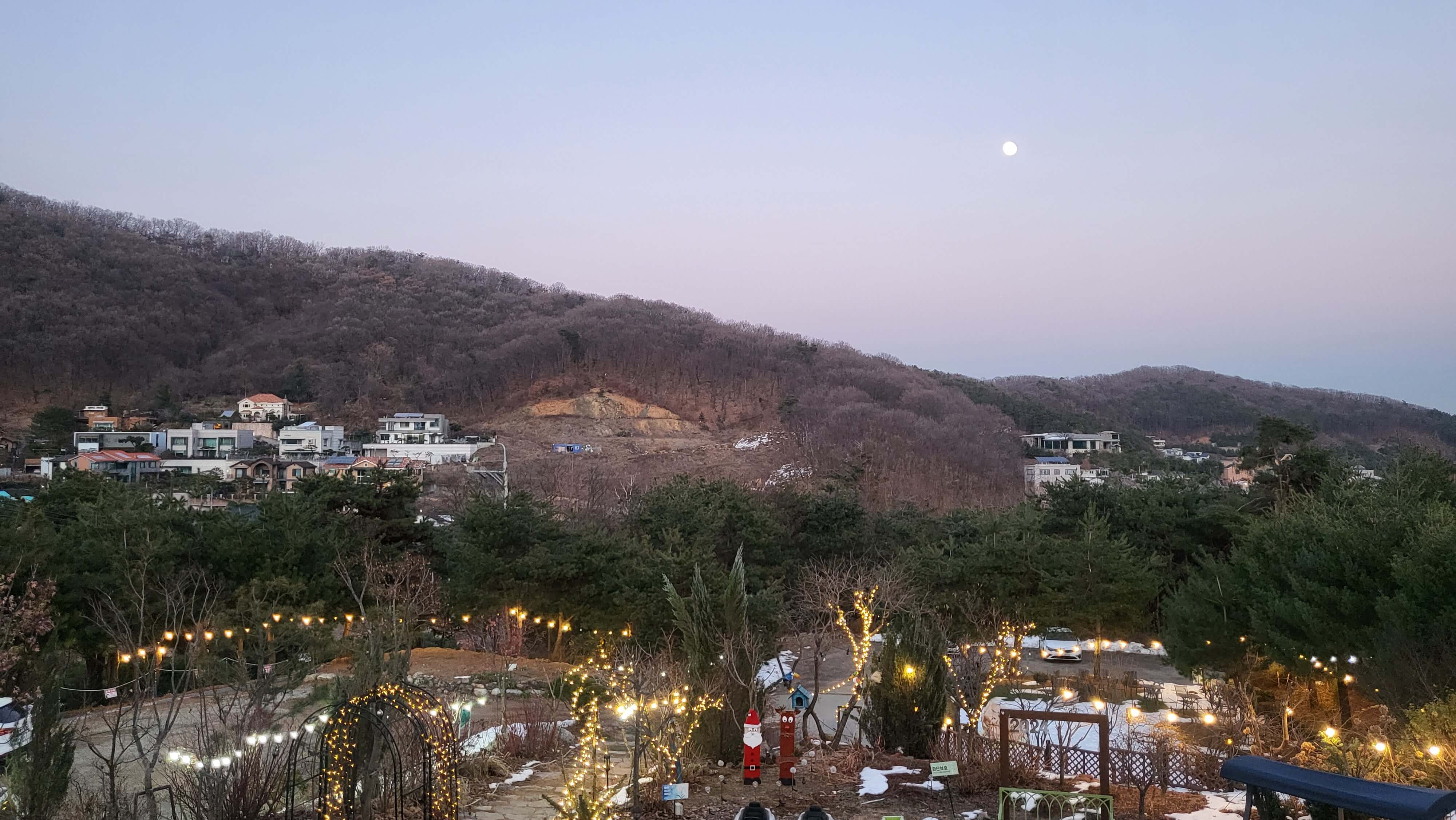 겨울 몽르베 카페에서 바라보는 숲속뷰