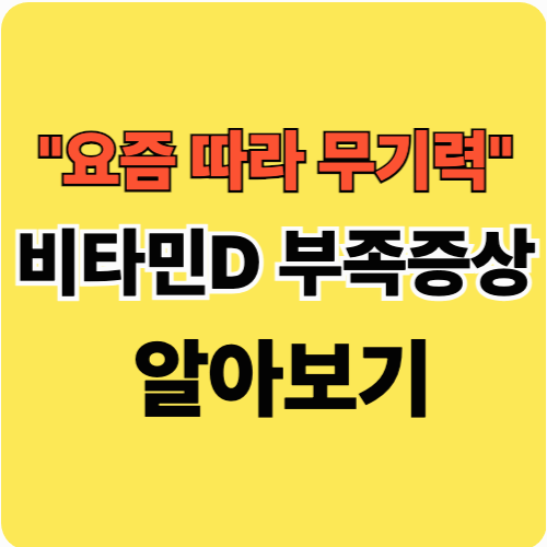 비타민D 부족증상 알아보기