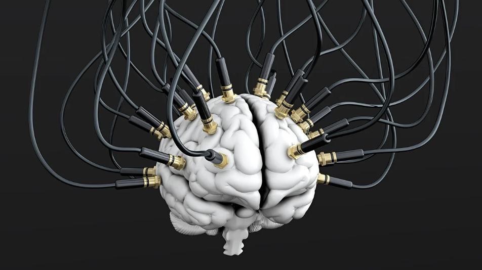 뇌 발달을 위협하는 대사질환, 페닐케톤뇨증(PKU)을 아시나요?