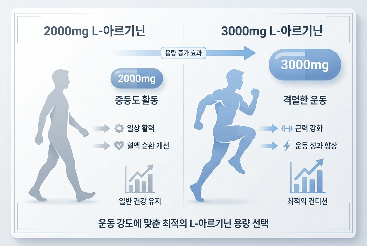 아르기닌 함량별 적합 대상과 체감 차이 비교 도식