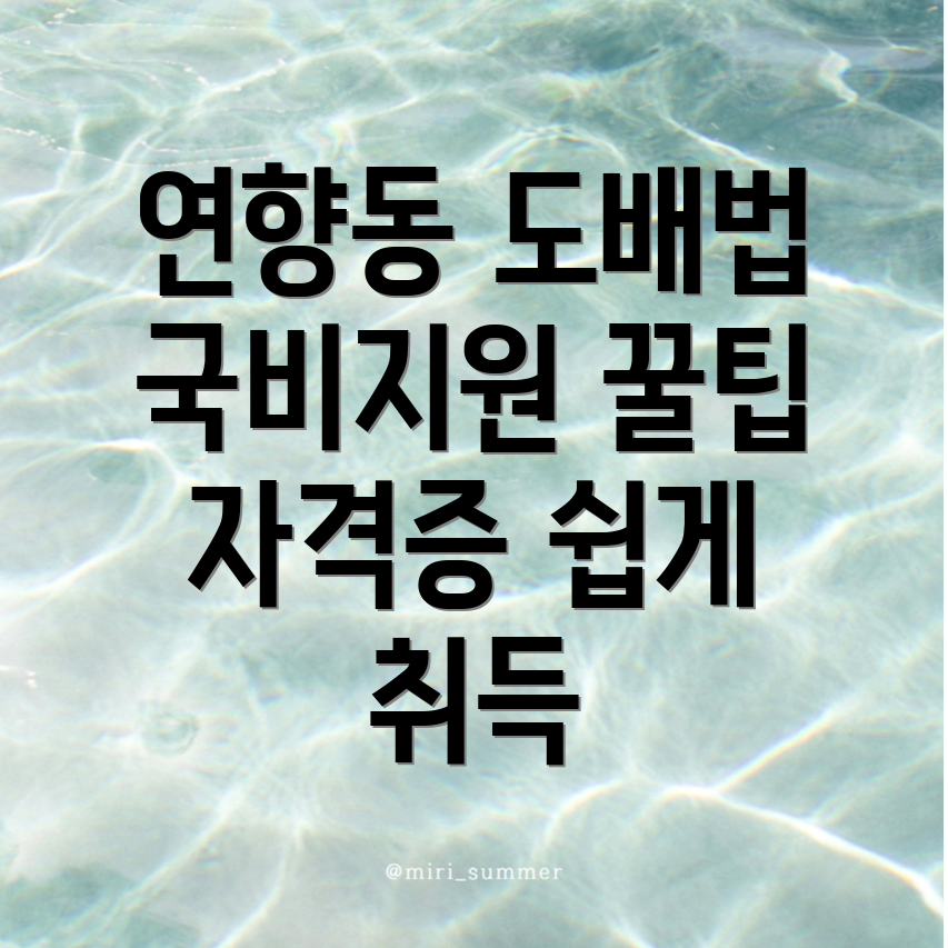 도배 국비지원