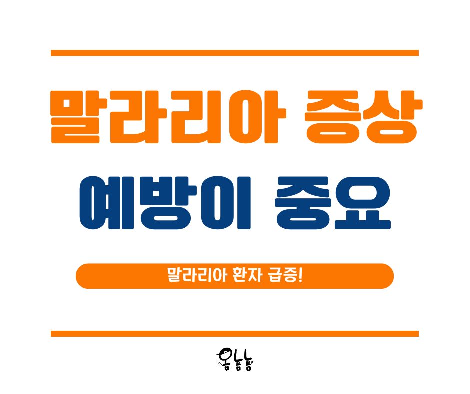 말라리아 증상