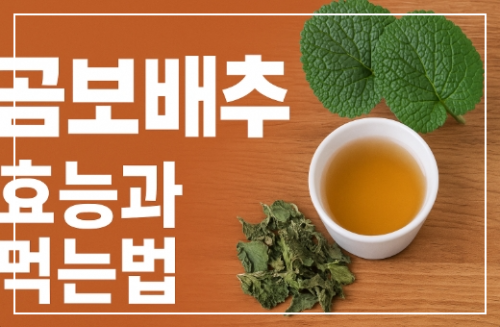 곰보배추 효능과 먹는법