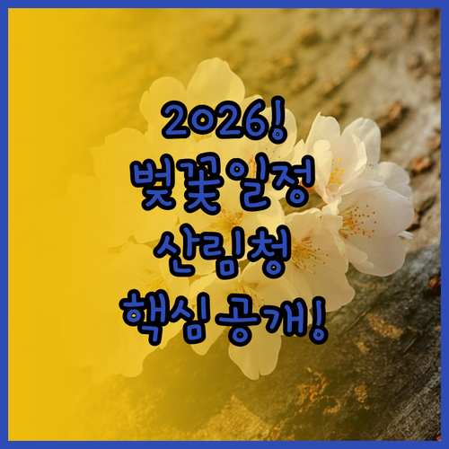 산림청 데이터 기반 2026년 전국 ..