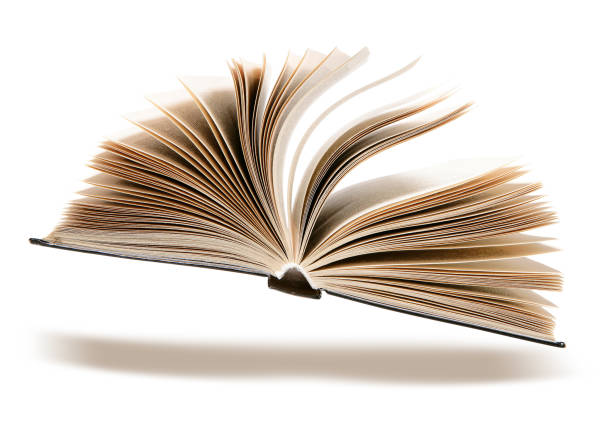 책갈피를 끼우는 꿈