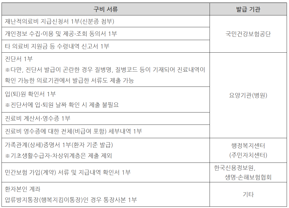 재난적 의료비 지원