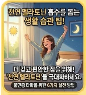 천연 멜라토닌 흡수를 돕는 생활 습관 팁