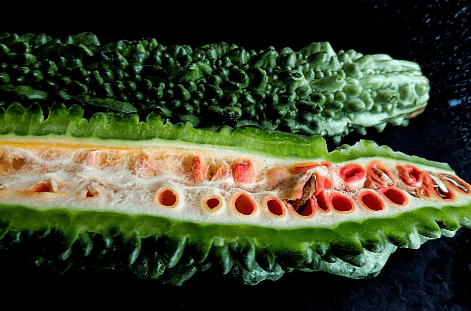 약초(여주) 관련 사진