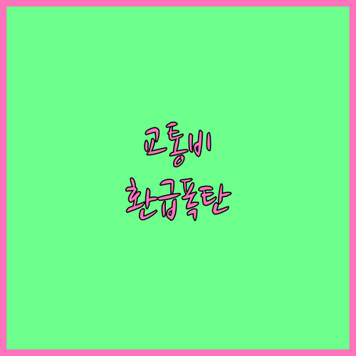 비수도권 맞춤형 교통카드 혜택 비교 ..