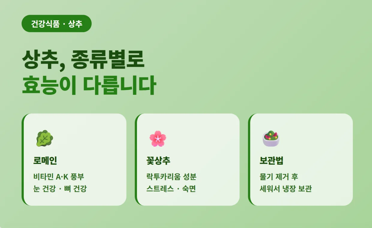 "로메인의 눈과 뼈 건강 효능, 꽃상추의 숙면 효능 및 올바른 상추 보관법 요약 가이드"