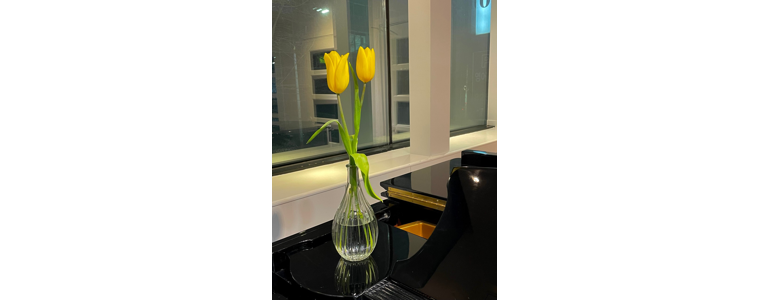 대전 유성구 피아노학원