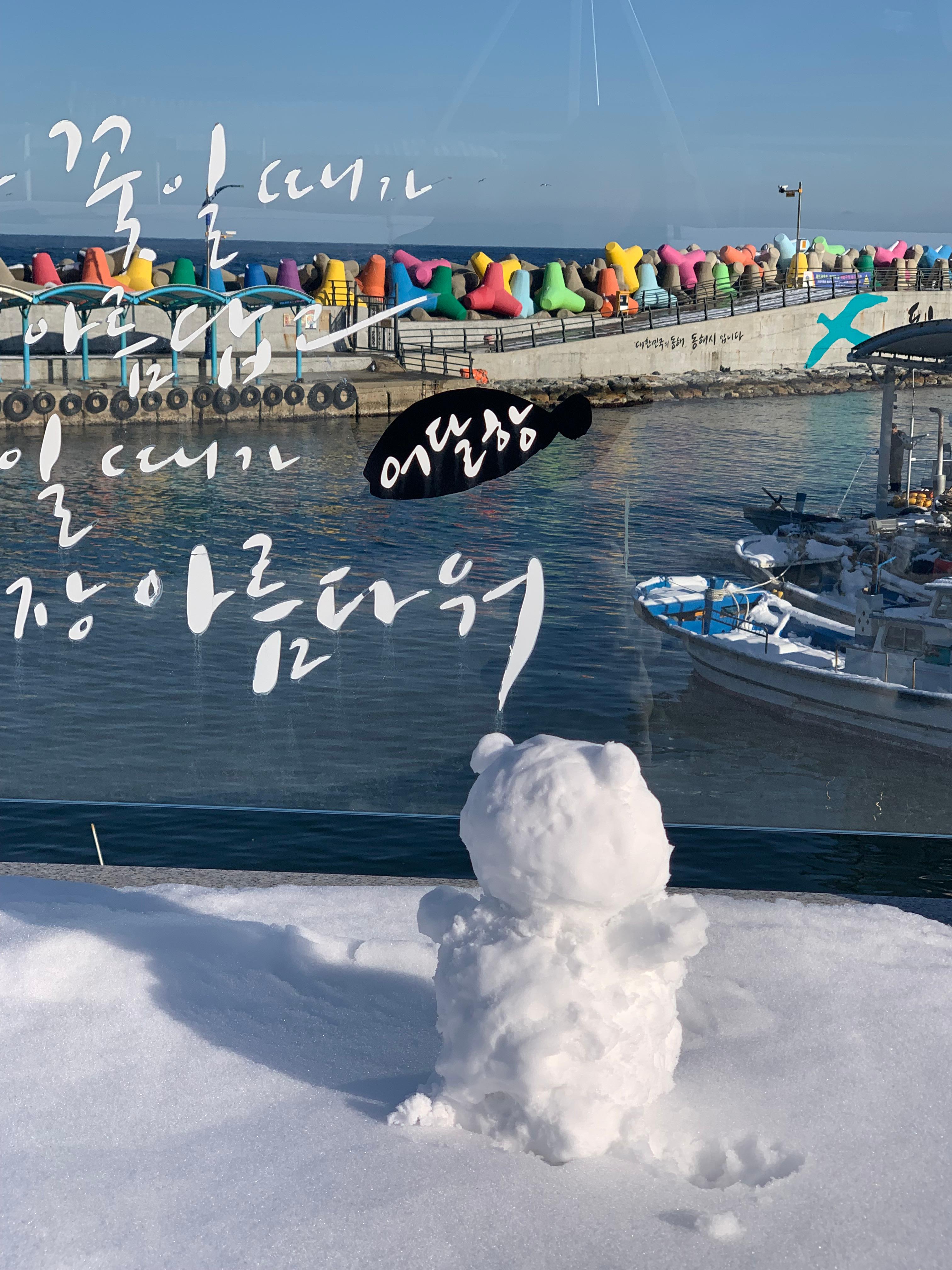 묵호 거북이횟집 곰치국 후기 내돈내산