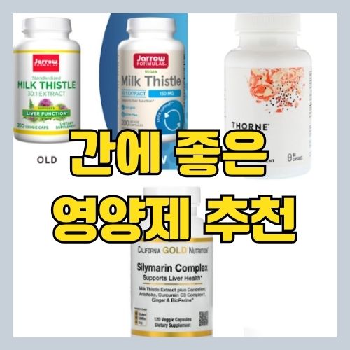 간에 좋은 영양제 추천 썸네일