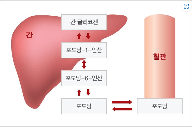 간역할