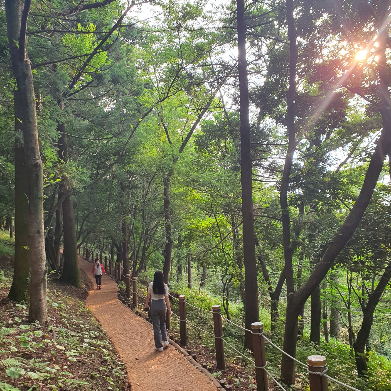 산책사진