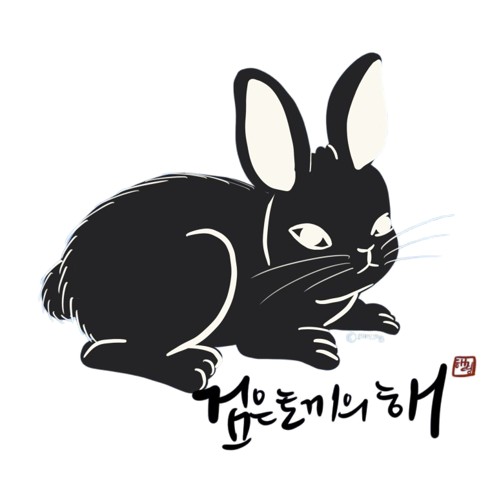 검은 토끼의 해