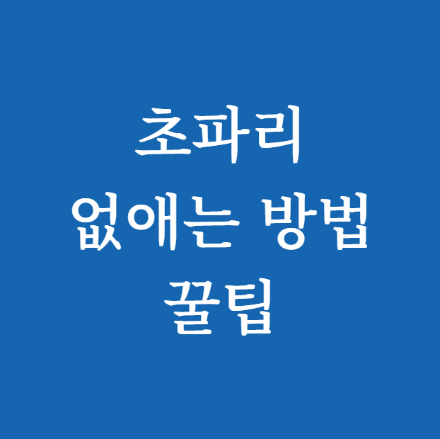 초파리 없애는 방법