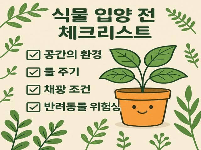 식물 입양 전 체크리스트