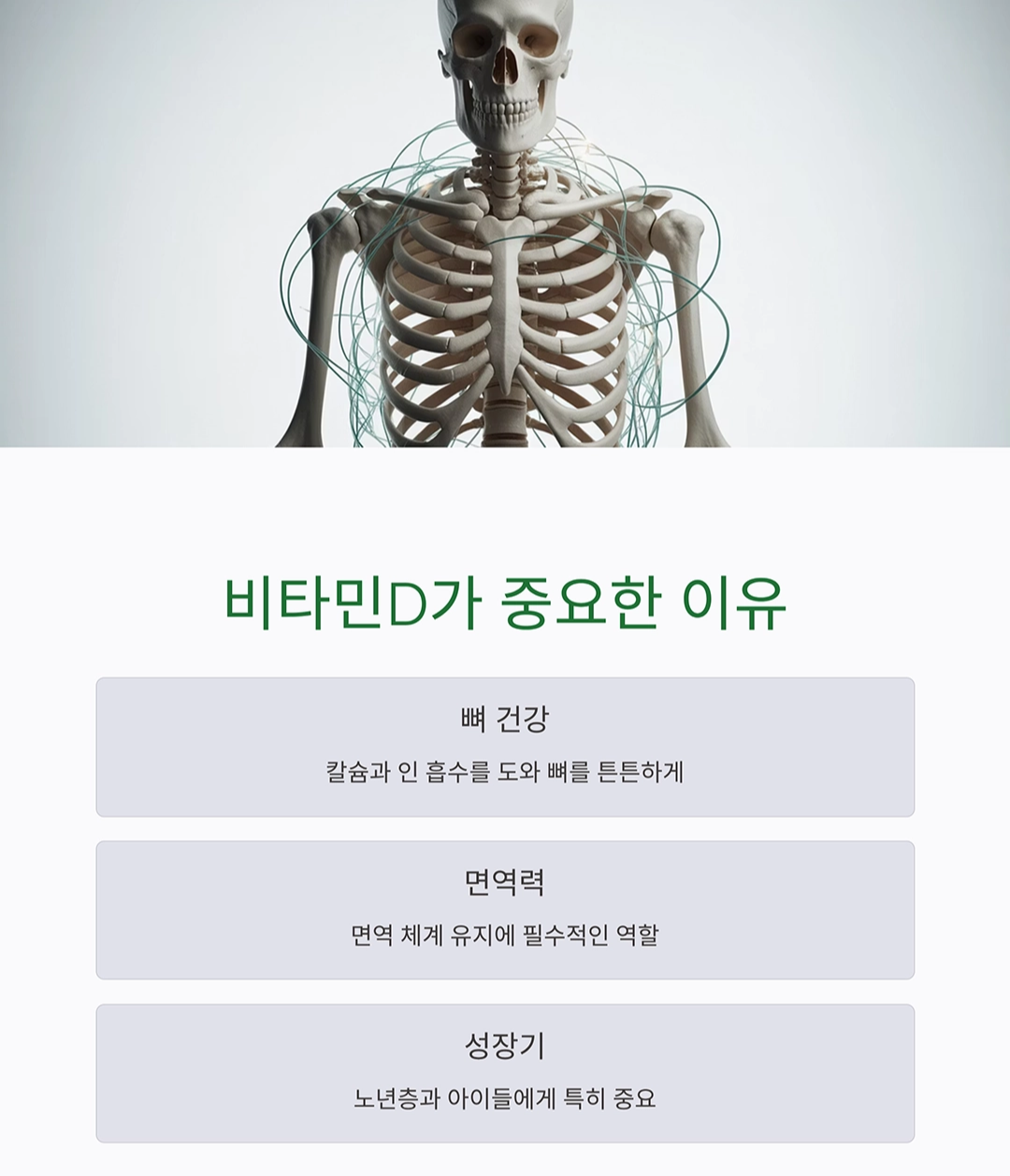 비타민D 음식과 햇빛 노출의 균형, 어떻게 맞춰야 할까?