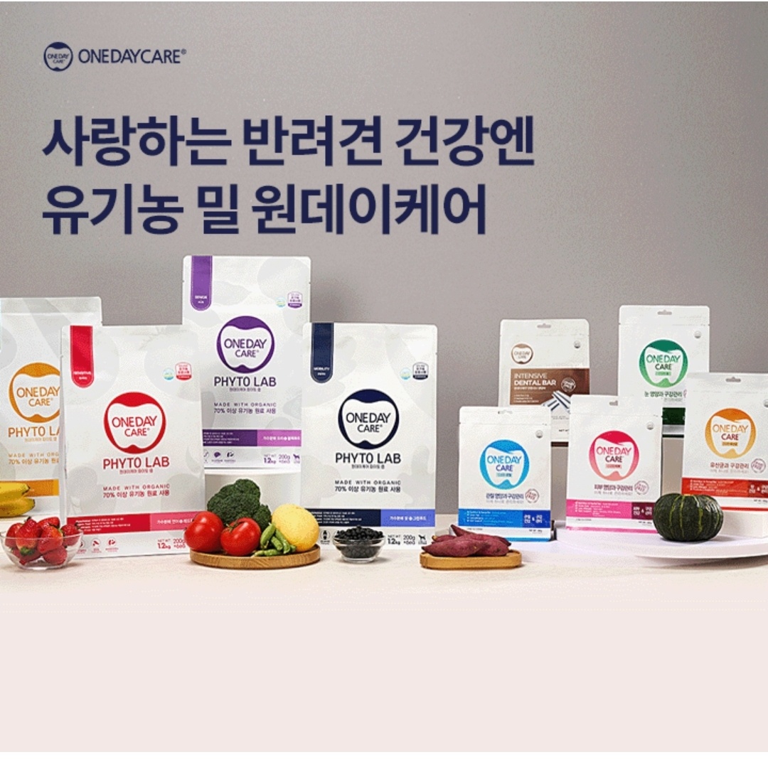 6월 27일 6시 오퀴즈 원데이케어 파이토랩 오퀴즈 정답