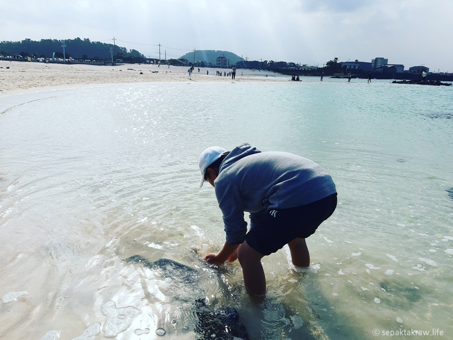 김녕해수욕장