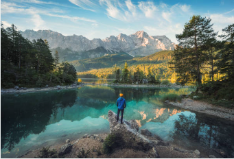 화담숲 벚꽃 예약