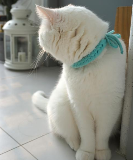 주말 인사말 문구 모음