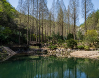 &amp;#39;아무도 없는 숲속에서&amp;#39; 촬영