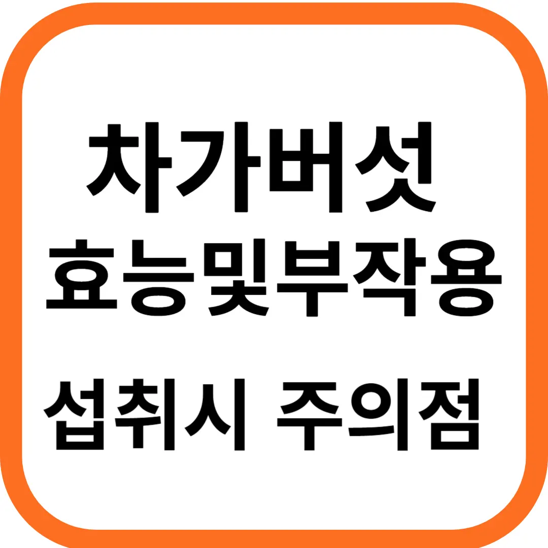 차가버섯 효능 및 부작용 섭취시 주의점