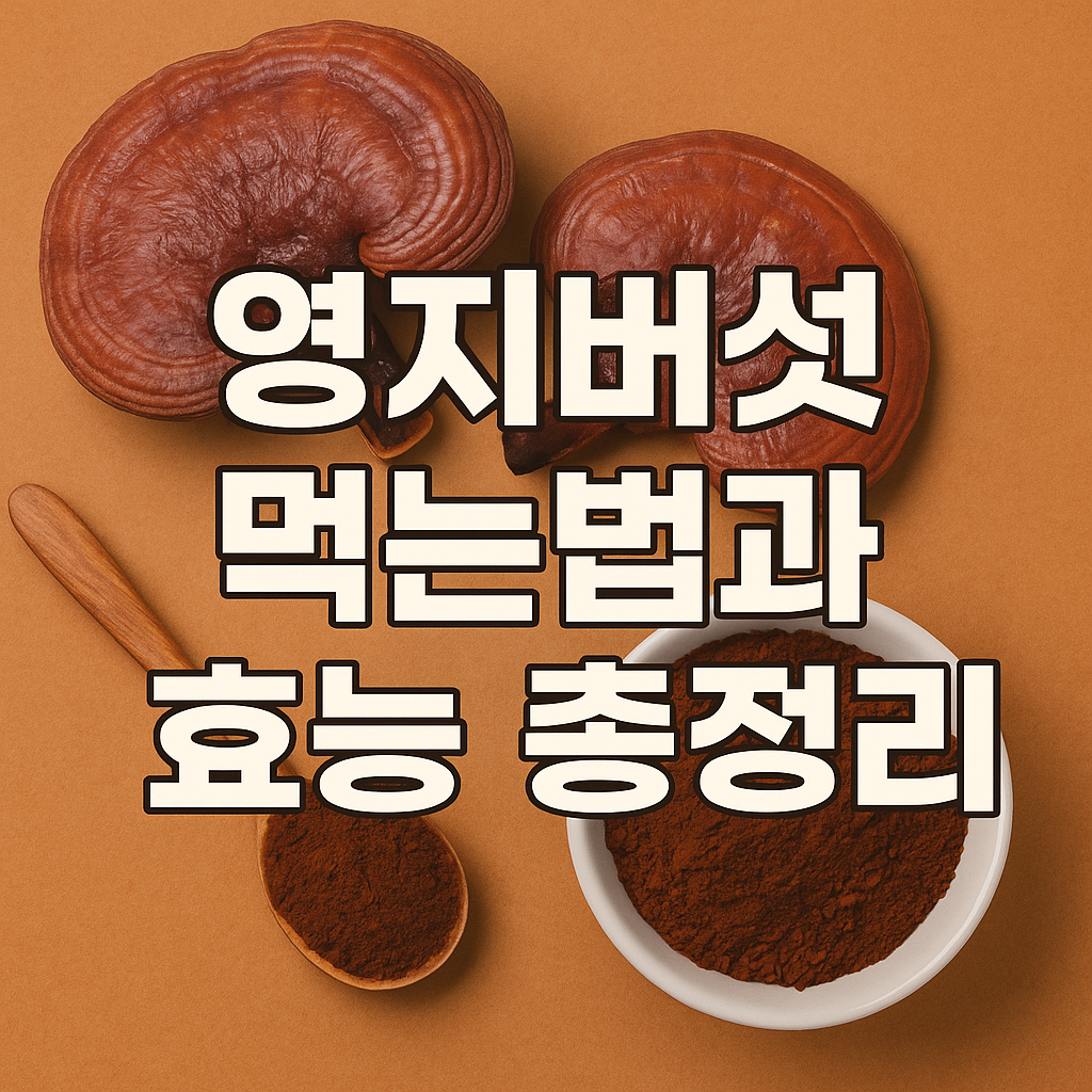 영지버섯 먹는법과 효능 총정리
