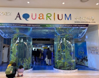 아쿠아리움 사진