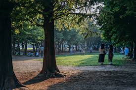 2024 별 헤는 서울숲 프로그램