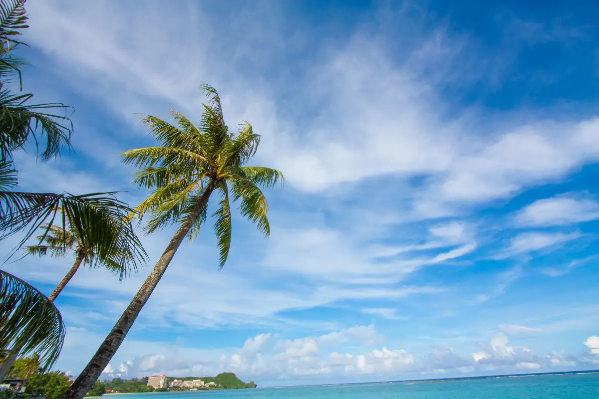 필리핀 보홀 자유여행 필수 투어 코스 : 액티비티 여행 코스