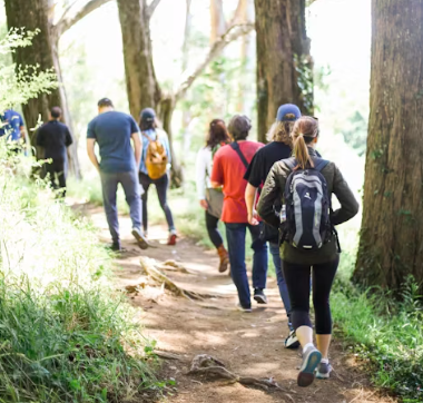 콘드로이친 효능 복용법 시간 부작용