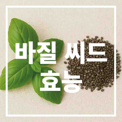바질 씨드 효능
