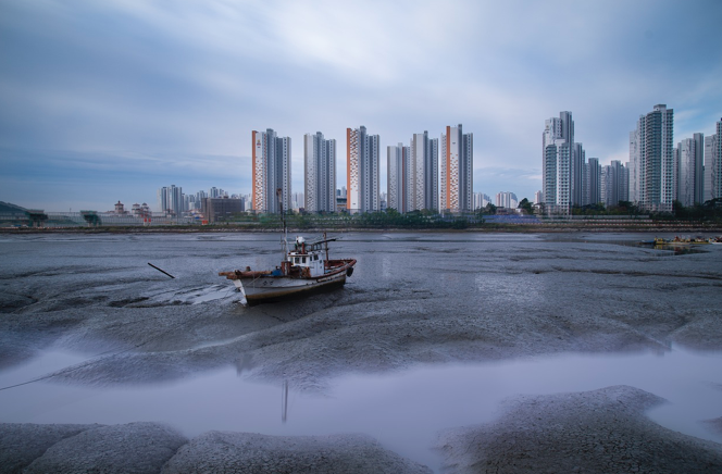 1990년대 신도시 개발과 ‘표준화된 삶’의 시작