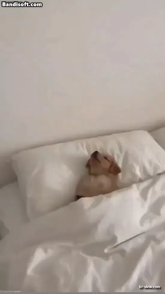 img.webp?credential=yqXZFxpELC7KVnFOS48ylbz2pIh7yKj8&expires=1767193199&allow_ip=&allow_referer=&signature=SbQOyJBKSvtlfexg%2FdblZJgdNLs%3D