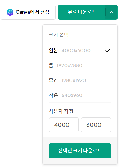 픽셀스-이미지-다운로드