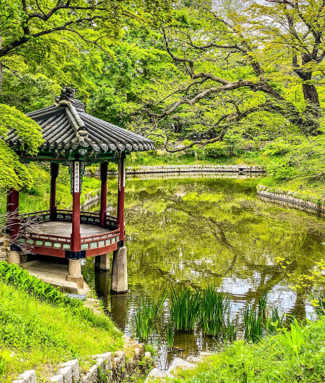 창덕궁으 모습