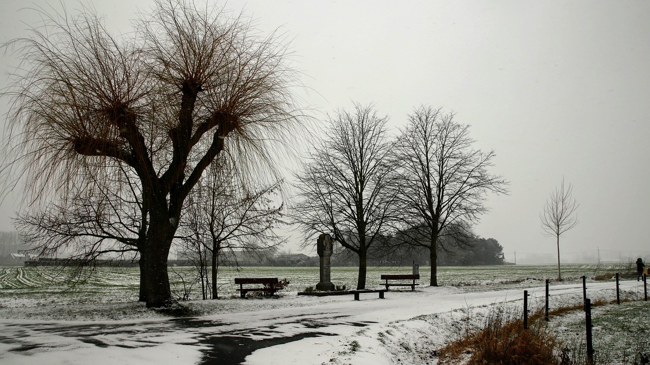 비염에 좋은 영양제