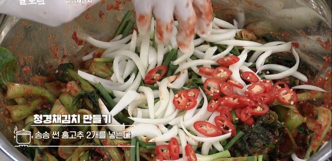 청경채김치레시피