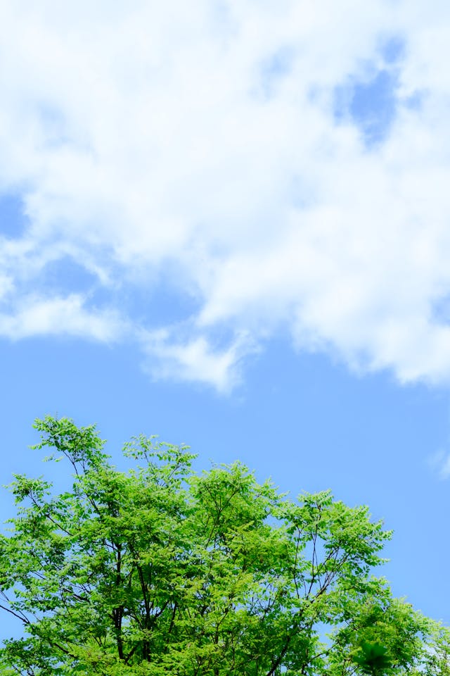 2026년 6월 한 달 날씨 예보