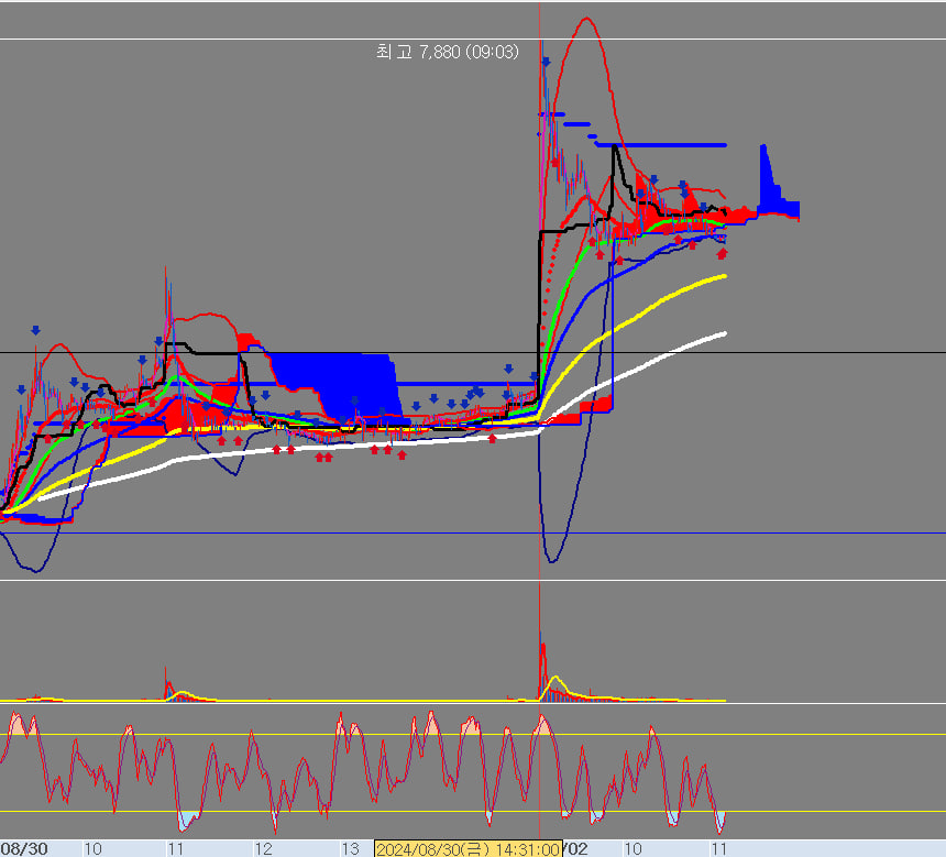 생활의 지혜
일목균형표, 브리지텍