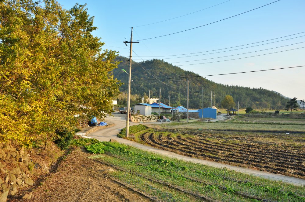 장흥군 내저마을 2016년 11월 4일